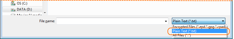 Plain Text file type